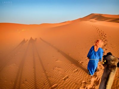 Two camels cast long shadows onto the dunes at Erg Chebbi, Sahara Desert, Morocco.